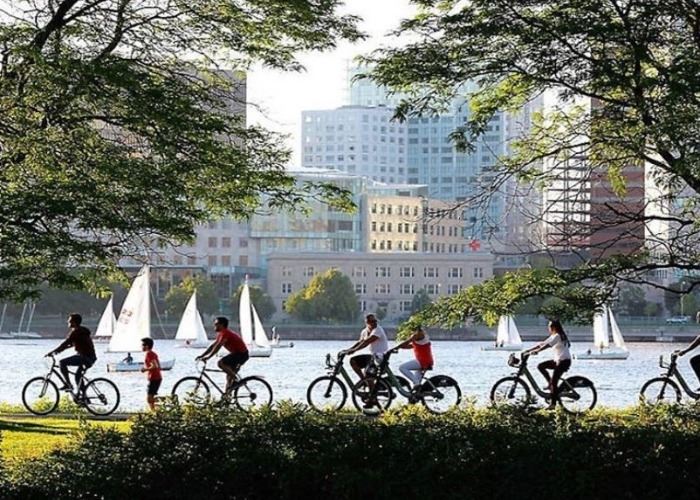 Bikes by water cropped Bikes by water cropped