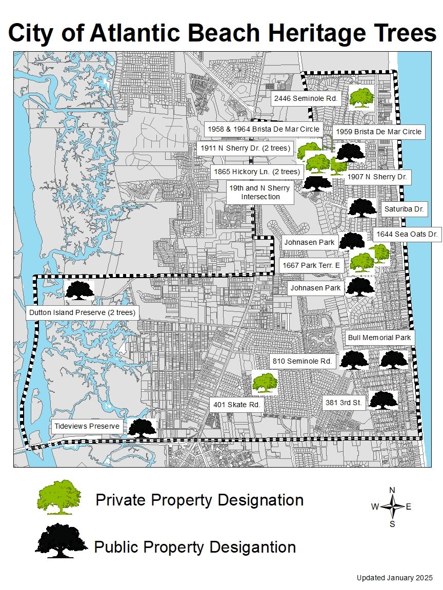 Heritage Trees 01.28.2025